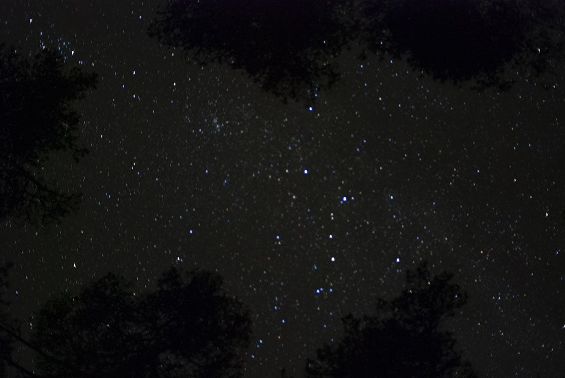 Night sky observed while lying down with many stars