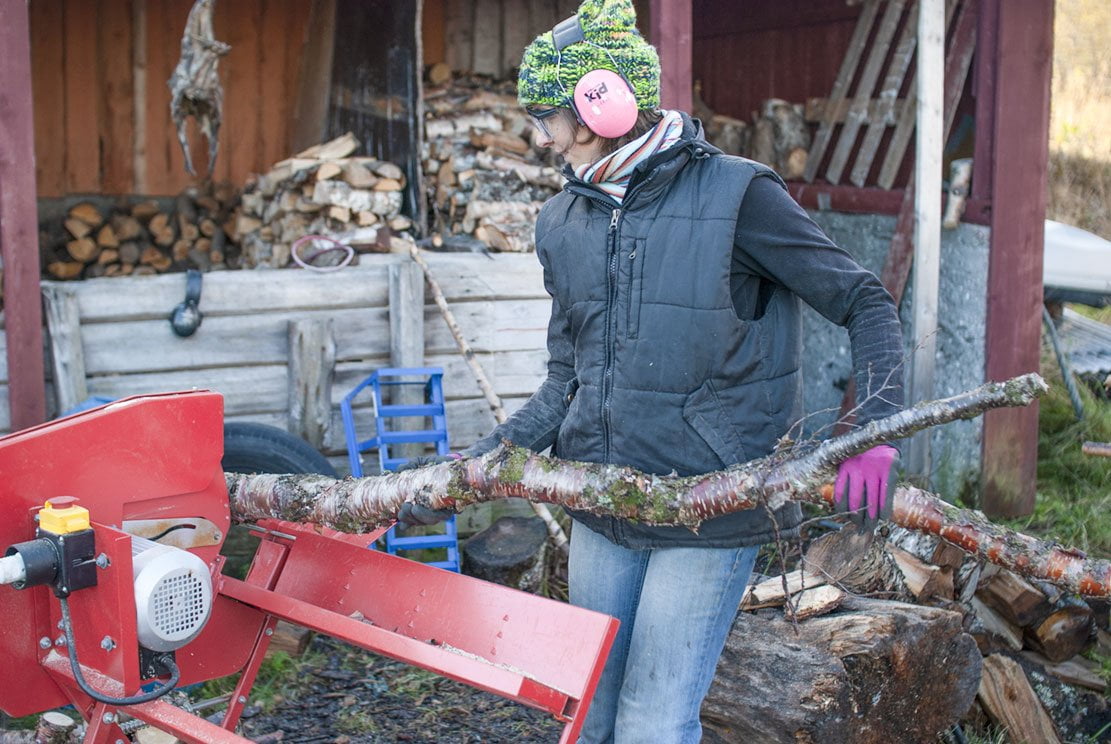 young woman sawing birch wood on a circular saw