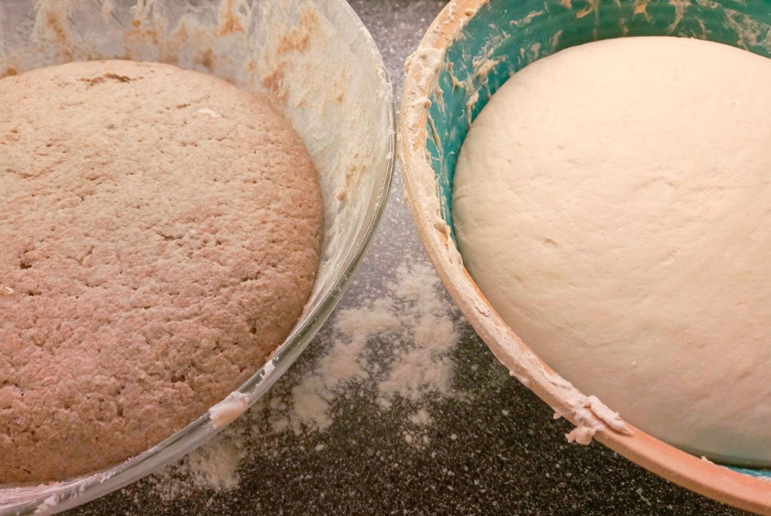 two bowls of fermenting sourdough, on the left is rye and on the right weet