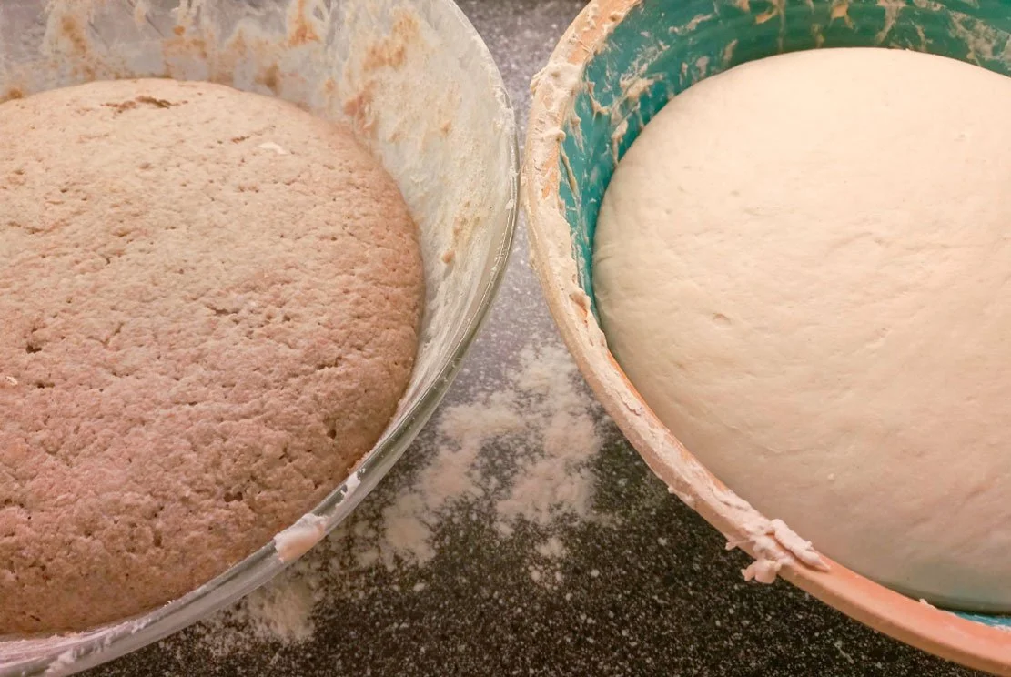 two bowls of fermenting sourdough, on the left is rye and on the right weet